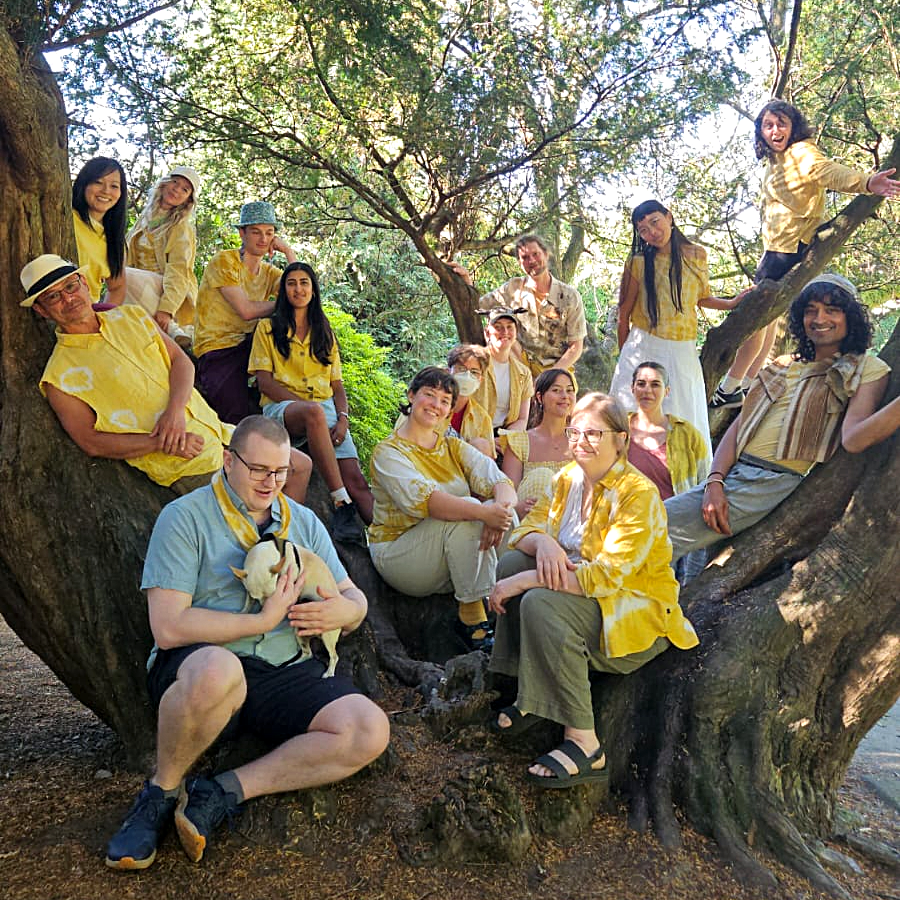 choir members dressed in yellow, sitting in a tree